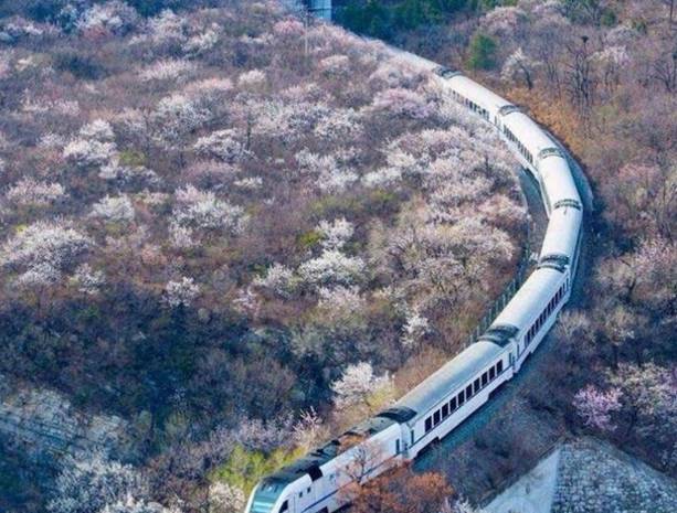 中国最美列车，惊艳了整个春夏秋冬！