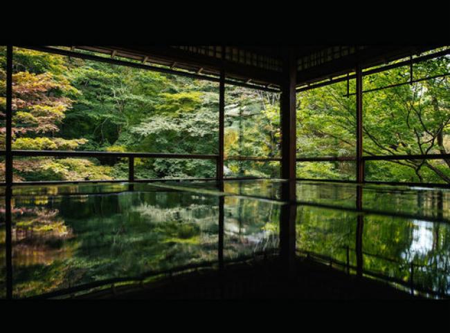 京都琉璃光院，并非美到窒息，但你的美流进了我内心深处！
