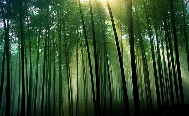 中国10个极致浪漫的幽静旅游胜地