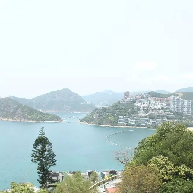 在香港可以待一下午的那些地方