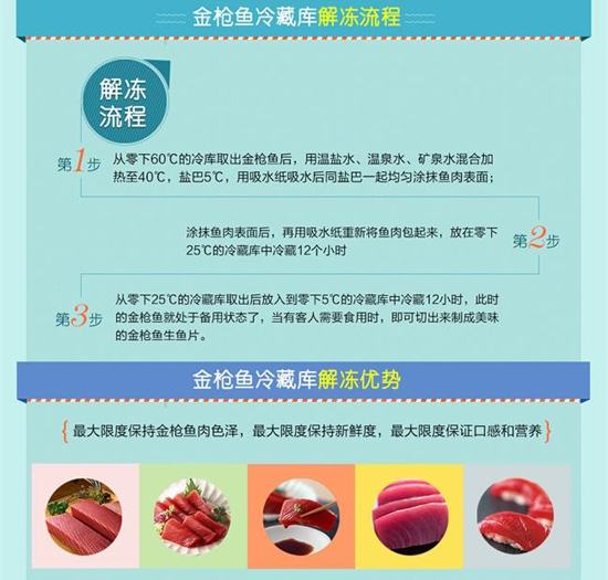 深海金枪鱼——生鱼片之中的极品