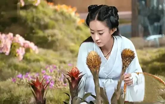 电视剧《花千骨》中的绝佳美食