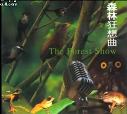 适合清晨听的30首歌曲
