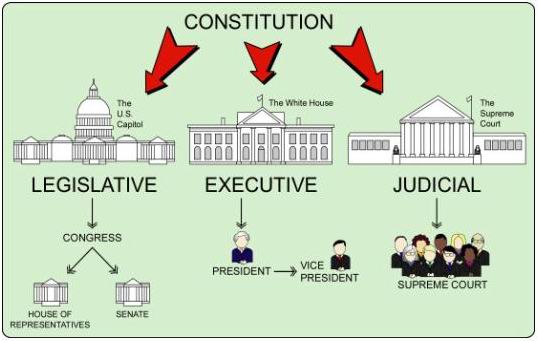 美国三权分立示意图