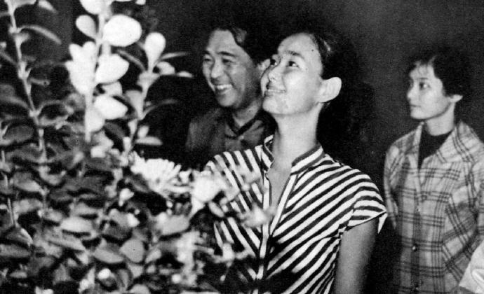 舒婷《会唱歌的鸢尾花》 乔榛 丁建华