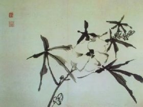 pic1