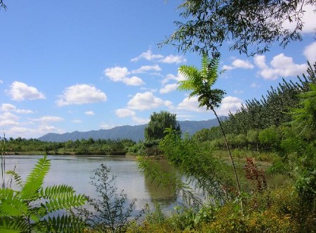 北京三大湿地公园指南