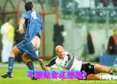 点击大图看下一张