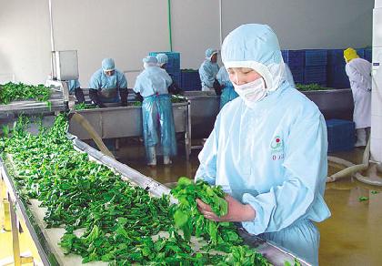 蔬菜的十大致命错误吃法