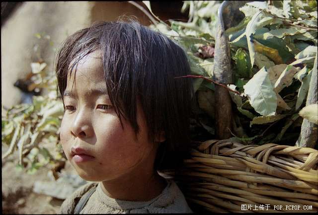 点击图片可在新窗口打开