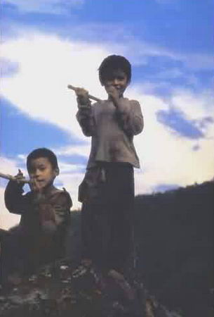 在一些生产力不很发达/与外界交流几乎隔绝的地区,一妻多夫制度才得以保存