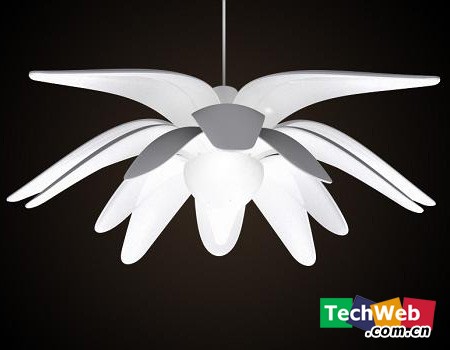 ��Ư���ĸ�����ƣ����ŵĻ���Lull ������Ʒ ���������� ������Ѷ �Ƽ����� 