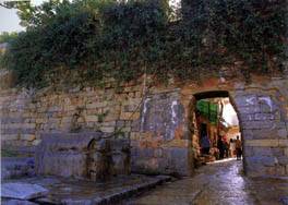 congwu2.jpg (11241 bytes)