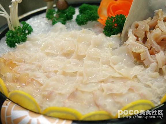 加拿大象拨蚌