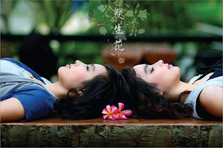 美女帅哥一箩筐