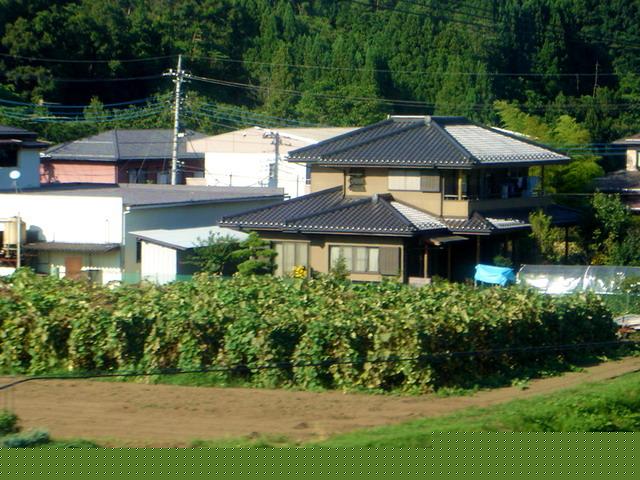 网友实拍日本农村的景象 最低层的社会状况