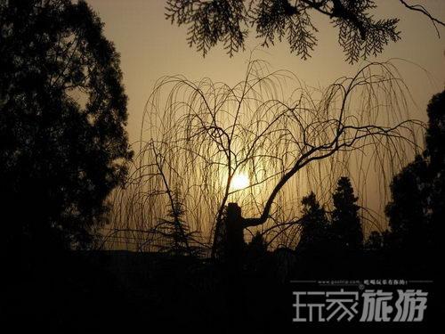 东风公园