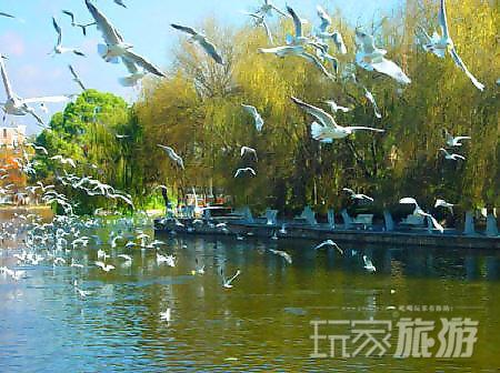 绿堤公园