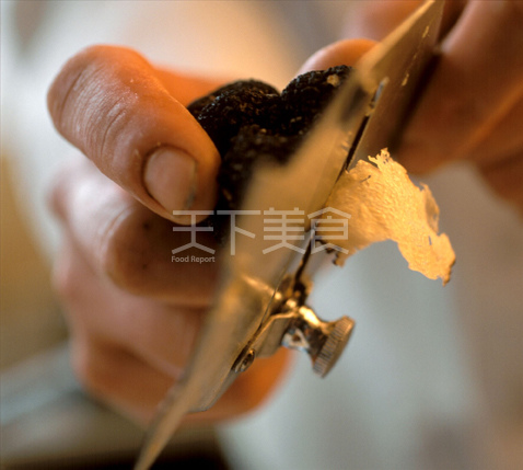 法国的松露最出名
