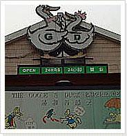 ${长标题}