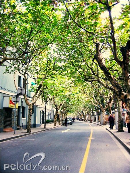 绍兴路