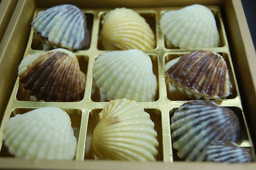 百乐.嘉利宝BARRY CALLEBAUT