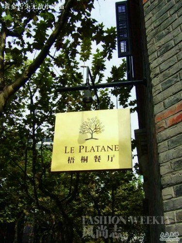 梧桐 LE PLATANE 梧桐 LE PLATANE