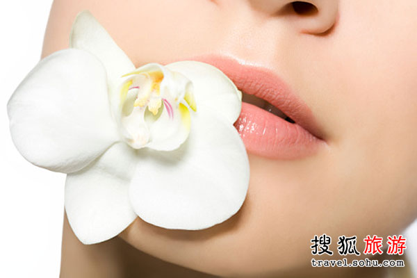 典型“老花精”养成术