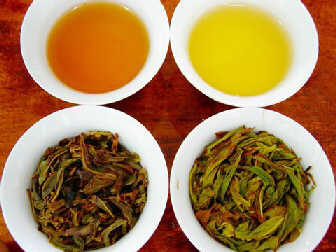 中国十大名茶的美丽传说