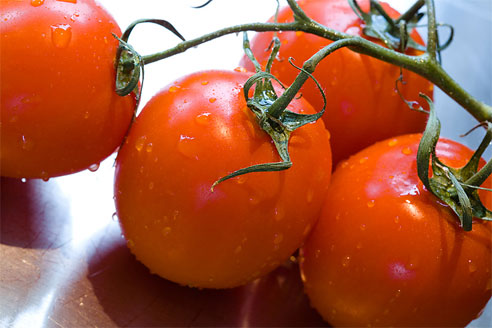 Tomatoes Tomatoes