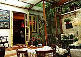 小小花园(LE PETIT JARDIN)