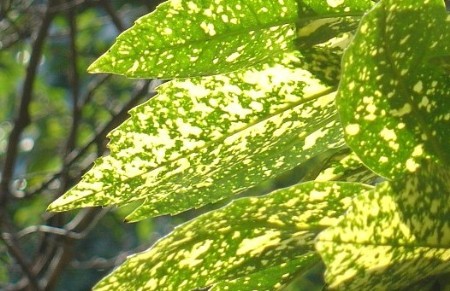 最纯正的&ldquo;小资&rdquo;情调 盘点上海10大漫步路线