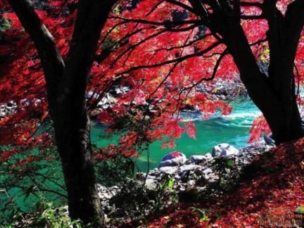 京城近郊八大赏红叶胜地