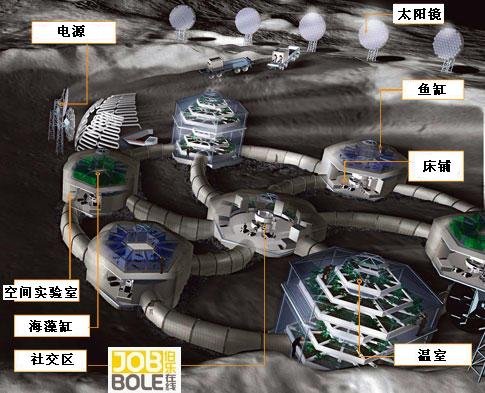 你的职业新选择！ 未来最好的10种工作(图)