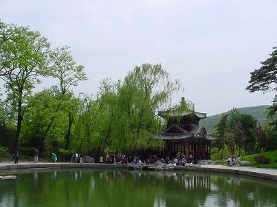 京城公园赏花攻略