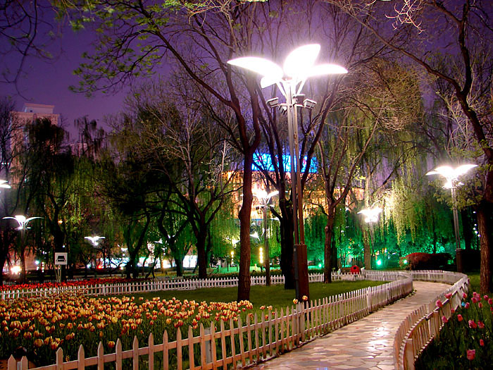 ����������ʡ�ᡣ̫ԭҹ���� - qizigu - һ��һ����