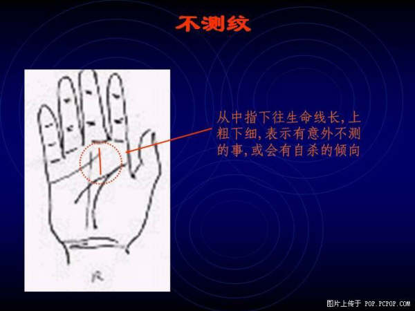 手心的秘密 - qizigu - 一字一世界