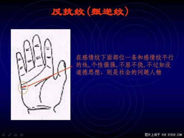 手心的秘密 - qizigu - 一字一世界