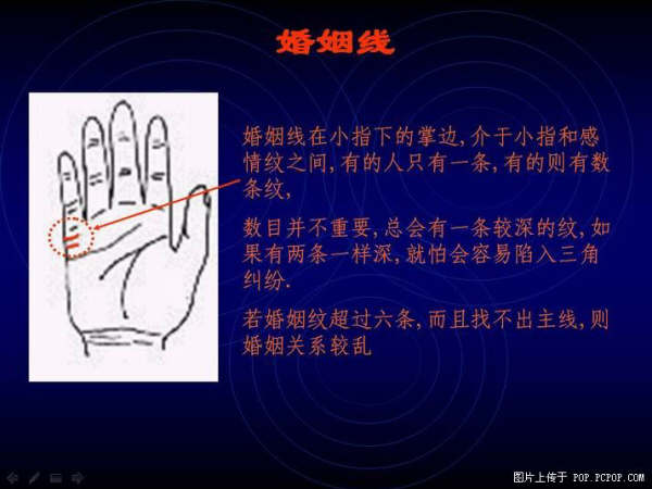 手心的秘密 - qizigu - 一字一世界
