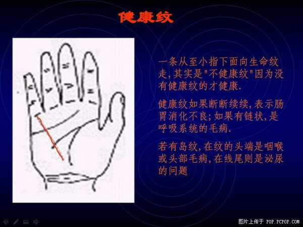 手心的秘密 - qizigu - 一字一世界