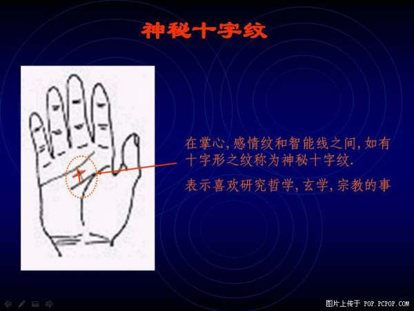 手心的秘密 - qizigu - 一字一世界