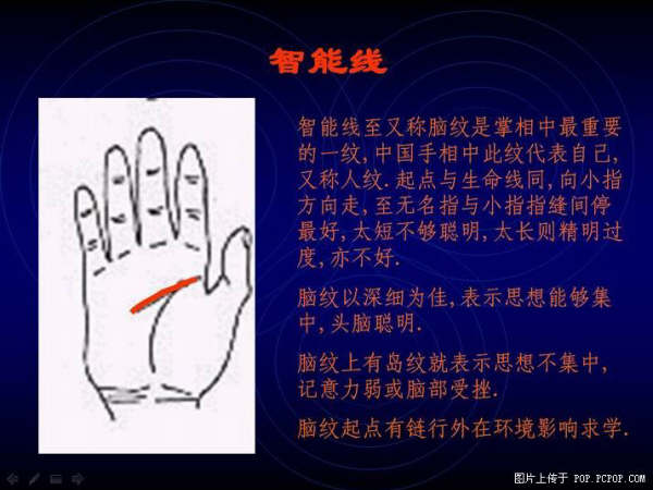 手心的秘密 - qizigu - 一字一世界