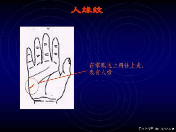 手心的秘密 - qizigu - 一字一世界