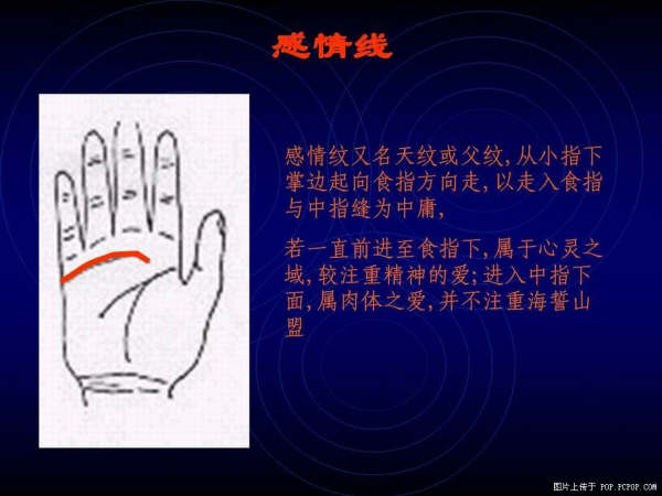 手心的秘密 - qizigu - 一字一世界