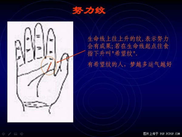 手心的秘密 - qizigu - 一字一世界