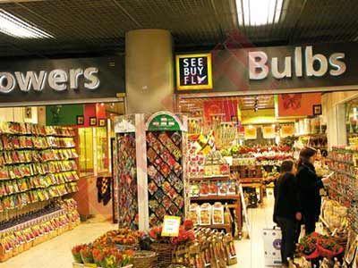 �й�����������˰������Ѫƴ��ô�죿�Ϸ�ʡǮ�����˱�˰��ͼ��