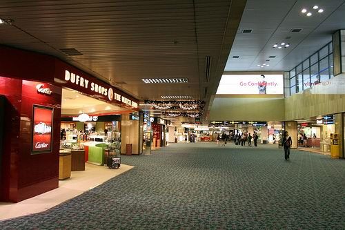 �й�����������˰������Ѫƴ��ô�죿�Ϸ�ʡǮ�����˱�˰��ͼ��