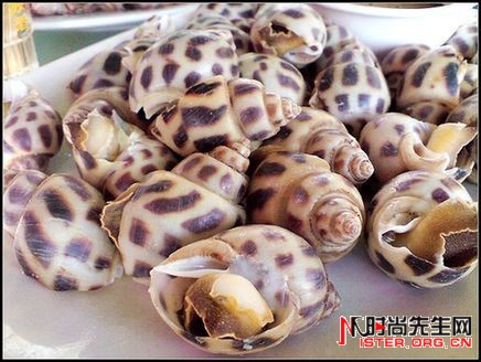 精品消费网 精品消费网