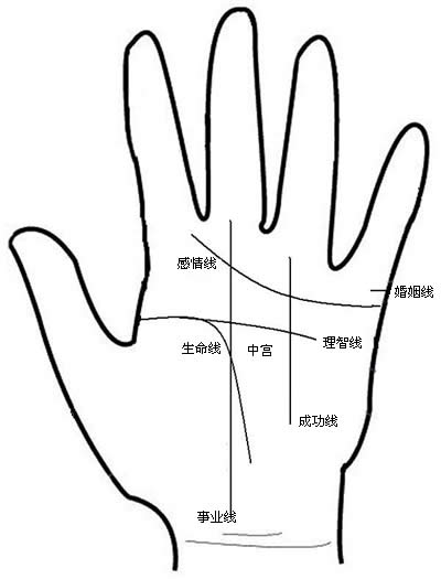 教你自己看手相