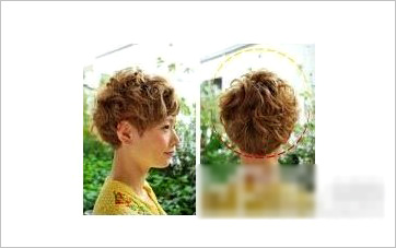 ���������һҳ